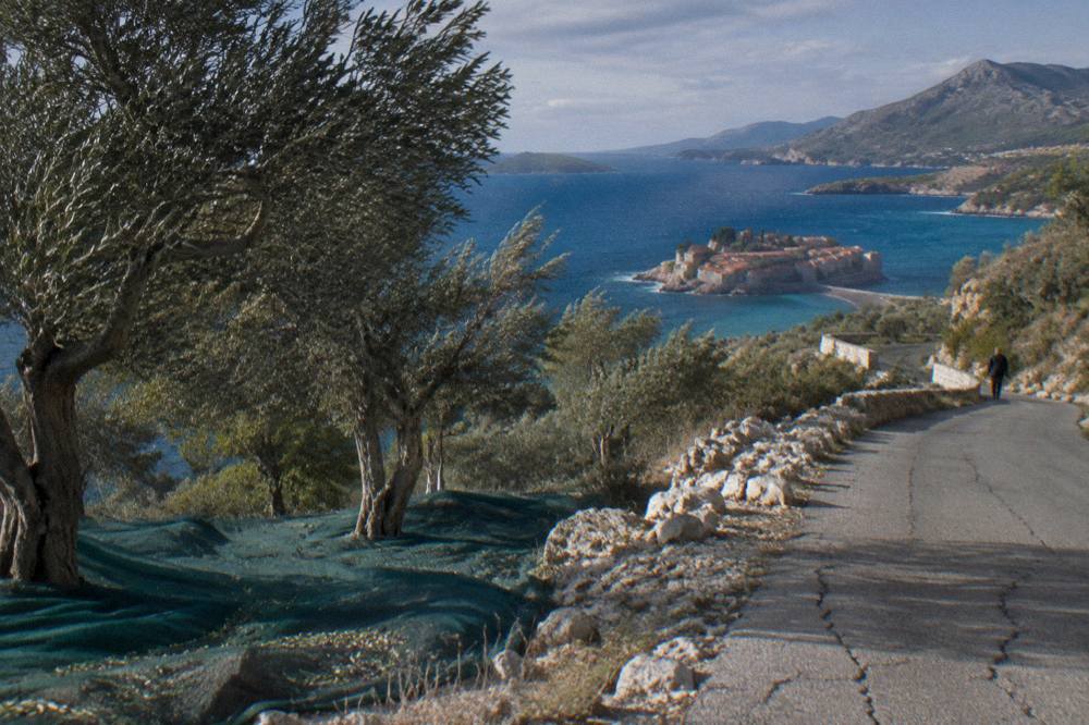 Coastal road curving along green hills above the blue water of the Adriatic