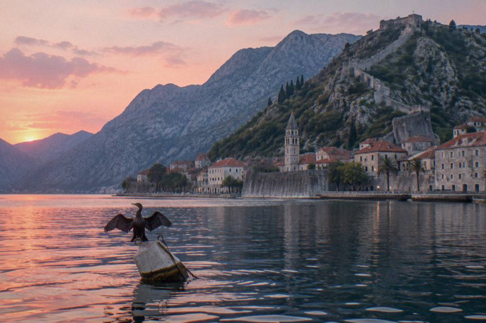 Walled old town of Kotor rising toward the mountain at the end of the bay