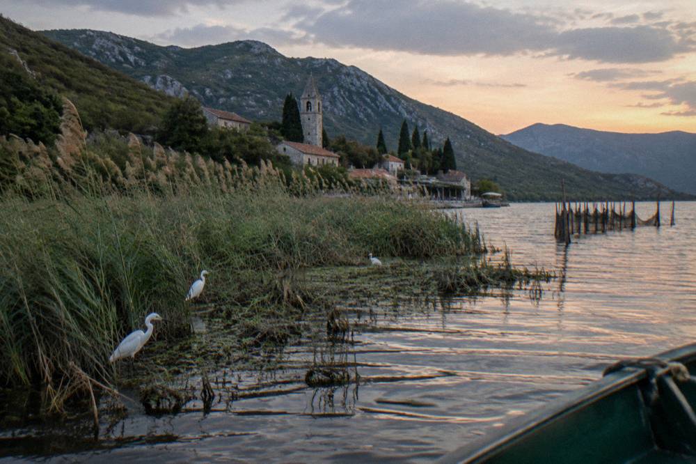Reed beds along the edge of Lake Skadar with open water beyond