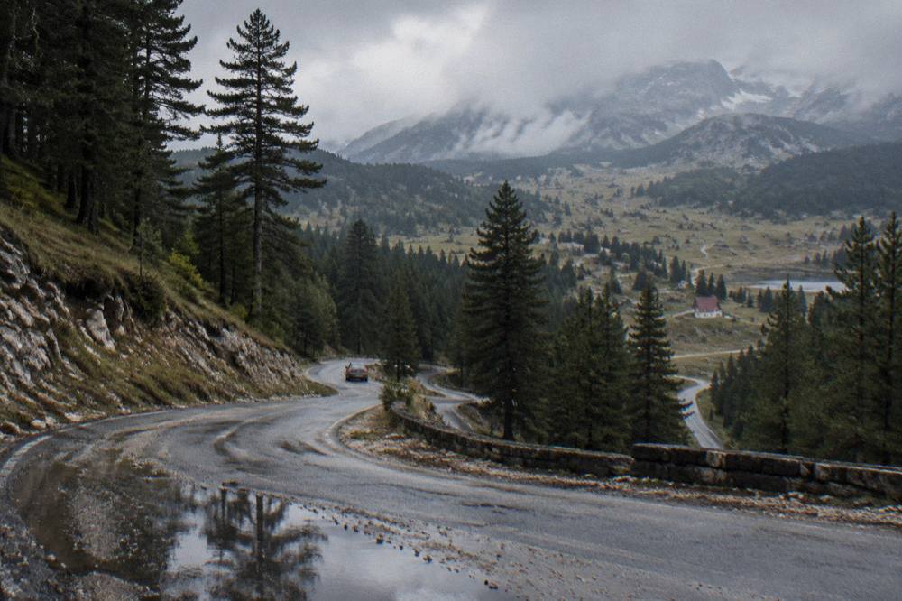 A mountain road winding through pine forests toward the high plateau of Durmitor National Park