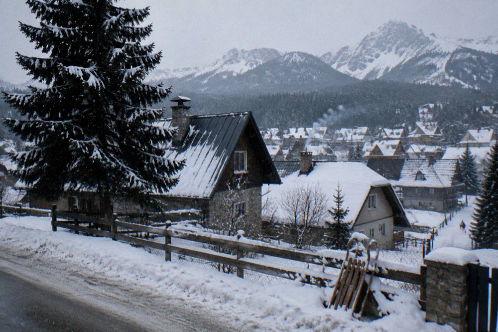 Snow-covered mountain village rooftops under a pale winter sky