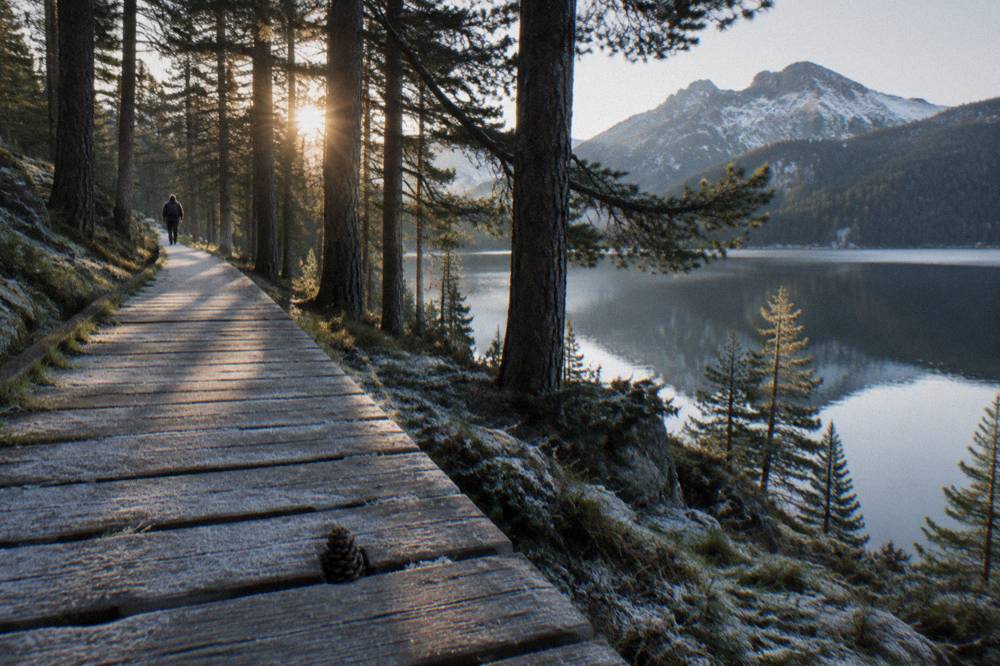 A wooden trail winding beside a mountain lake through pine forest in early morning light