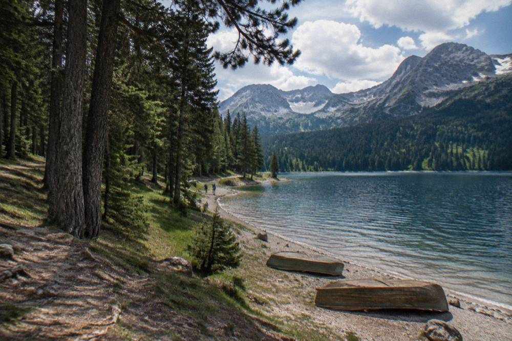 Glacial Black Lake ringed by pine forest beneath Durmitor's rocky peaks