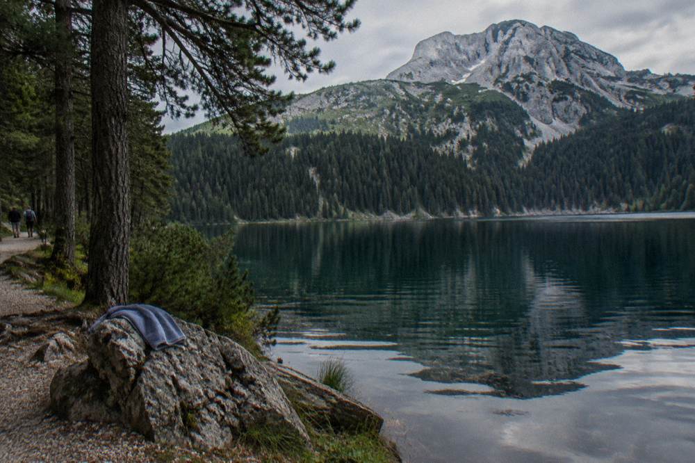 Still dark water of Black Lake reflecting pine forest below the mountains of Durmitor
