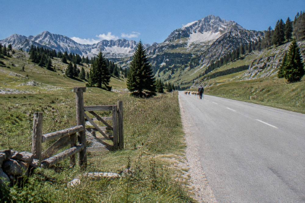 A high mountain road crossing a grassy plateau with rocky peaks in the distance