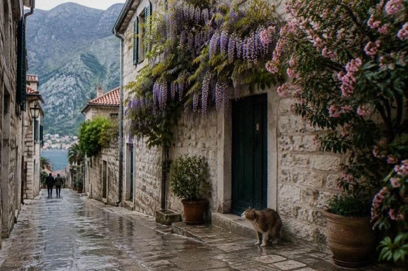 Montenegro in spring